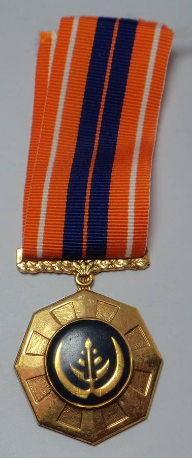 Full Size Pro Patria Medal (Fixed Suspender 208318)