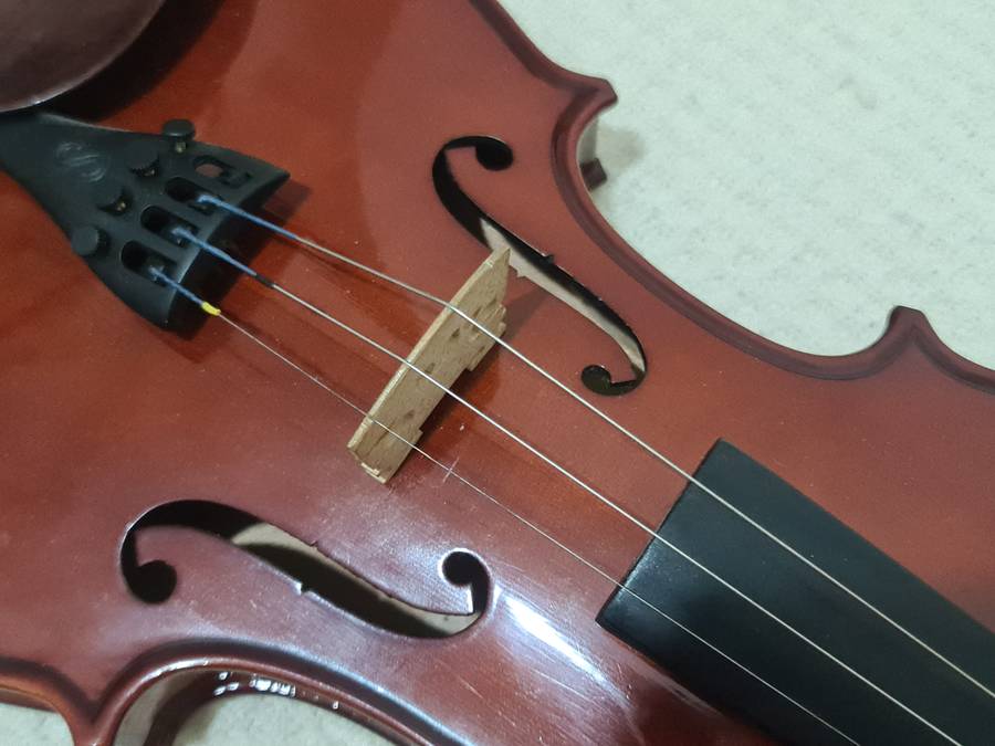 Stentor violin with case, Student 1