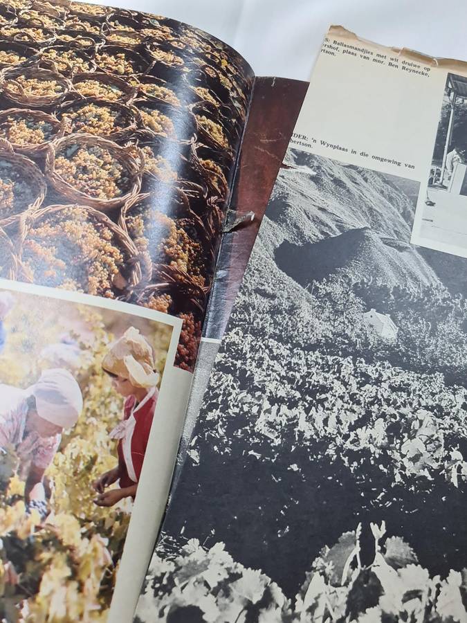 Huisgenoot 11 April 1975, Drama van die Dubbel hart