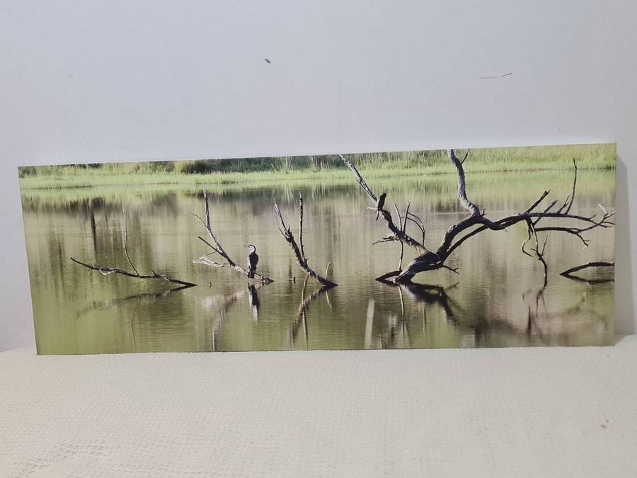 Bird and water lithograph