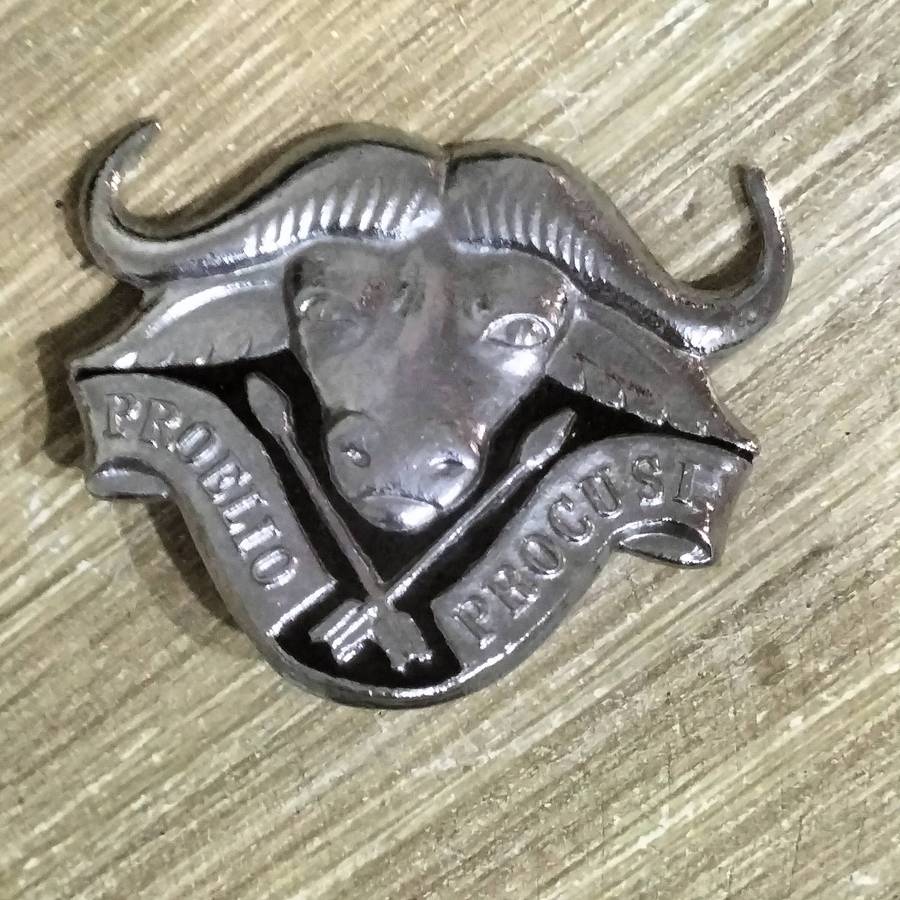 COLLECTION SADF BADGES.