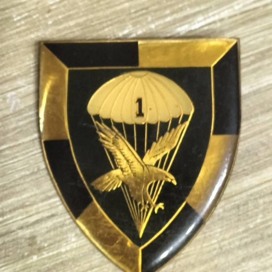 COLLECTION SADF BADGES.