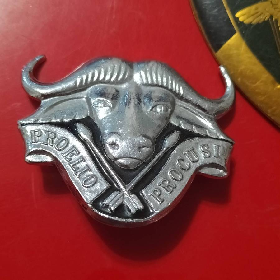 COLLECTION SADF BADGES.