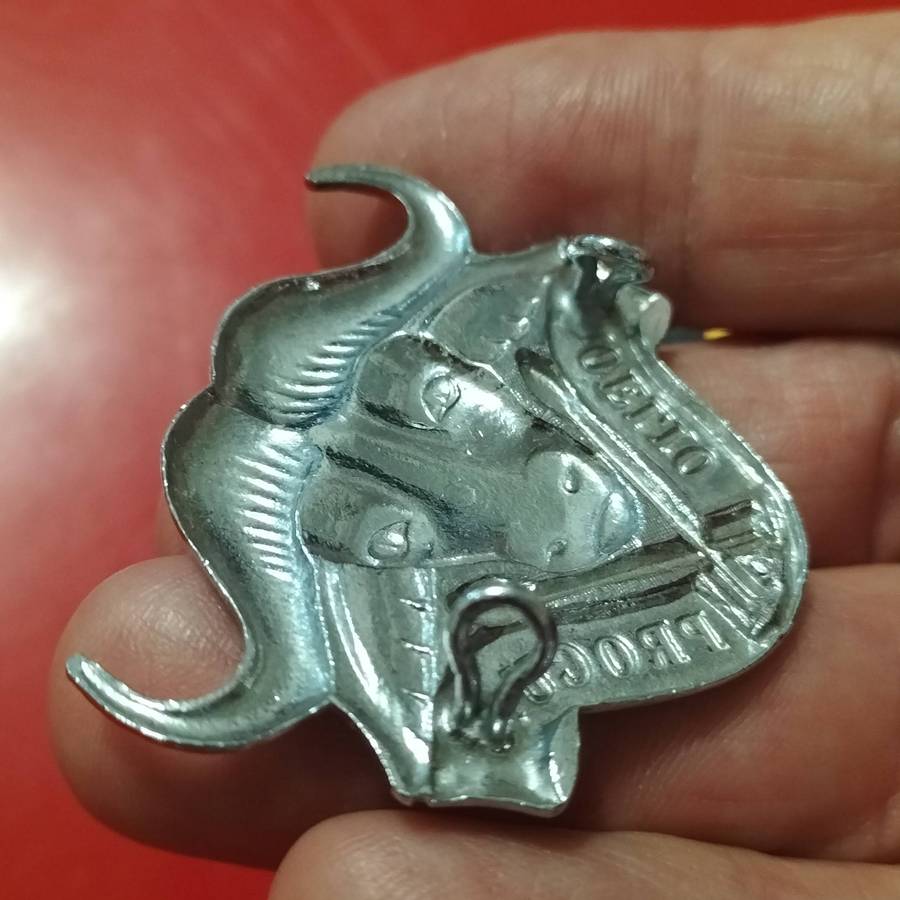 COLLECTION SADF BADGES.