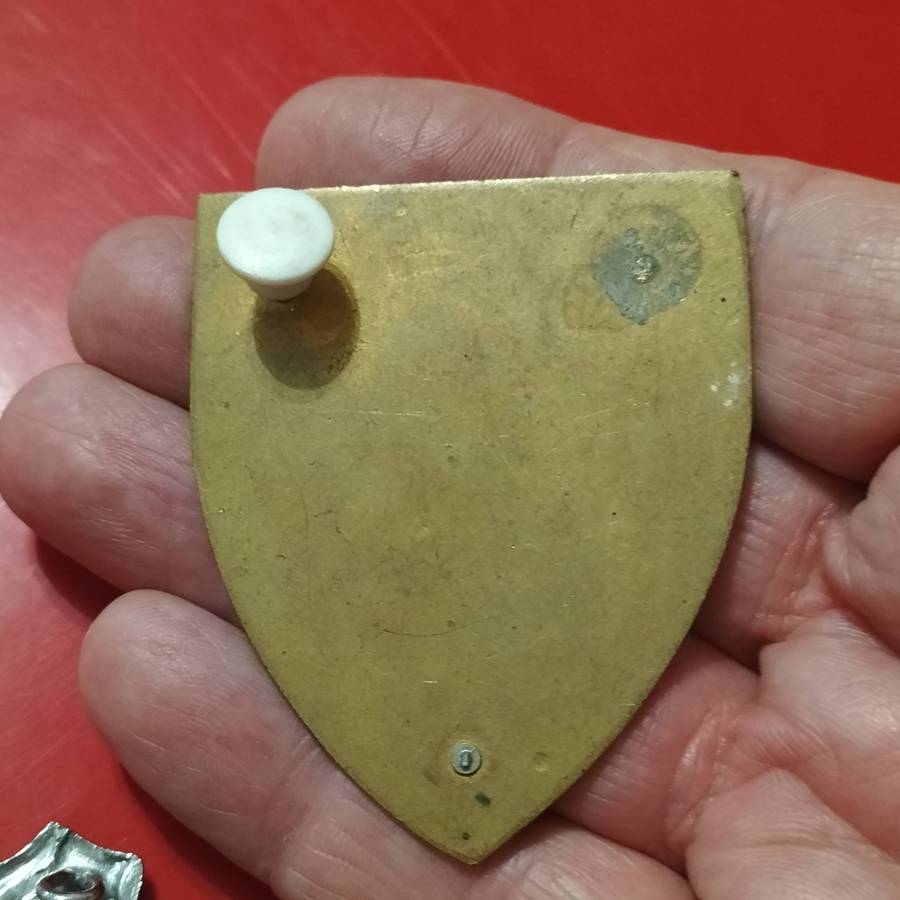 COLLECTION SADF BADGES.