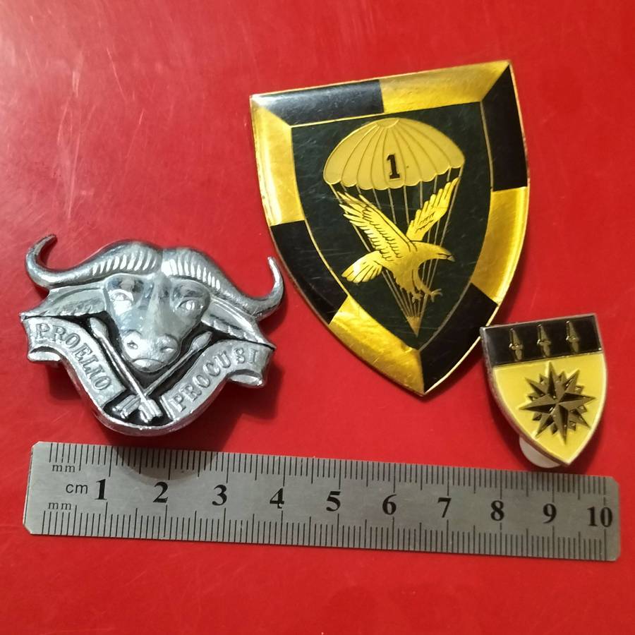 COLLECTION SADF BADGES.