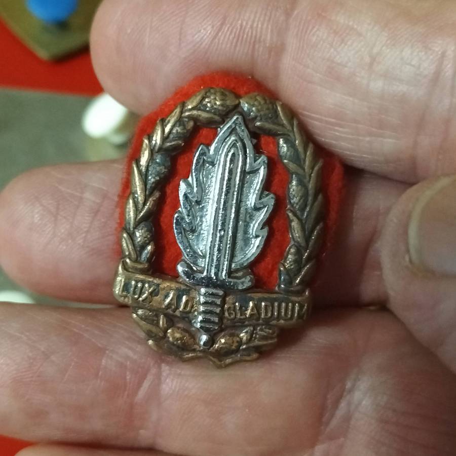 FIVE SADF ARMY BADGES.