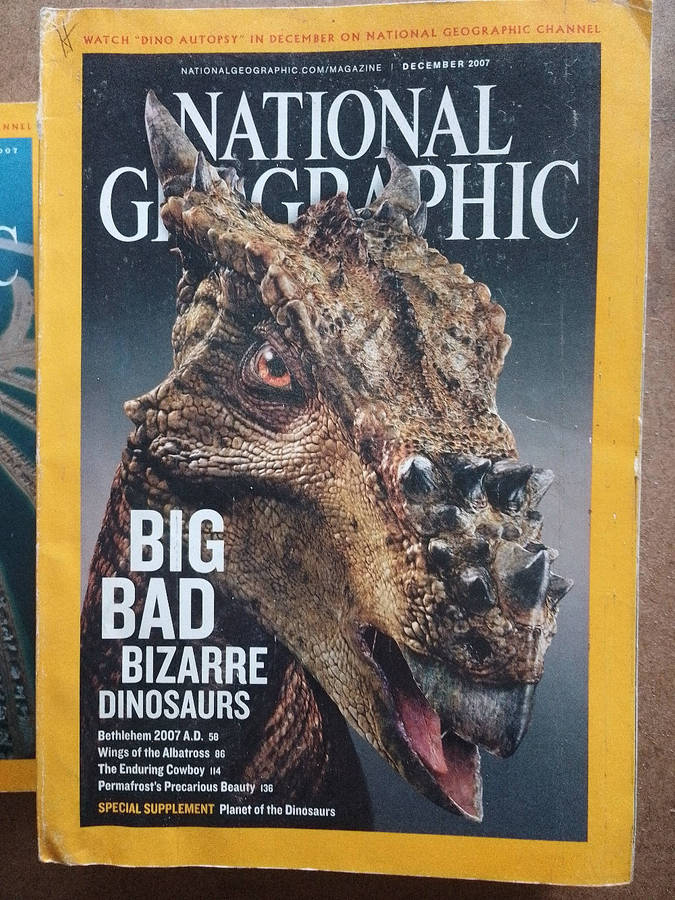 National Geographic Magazines - various years