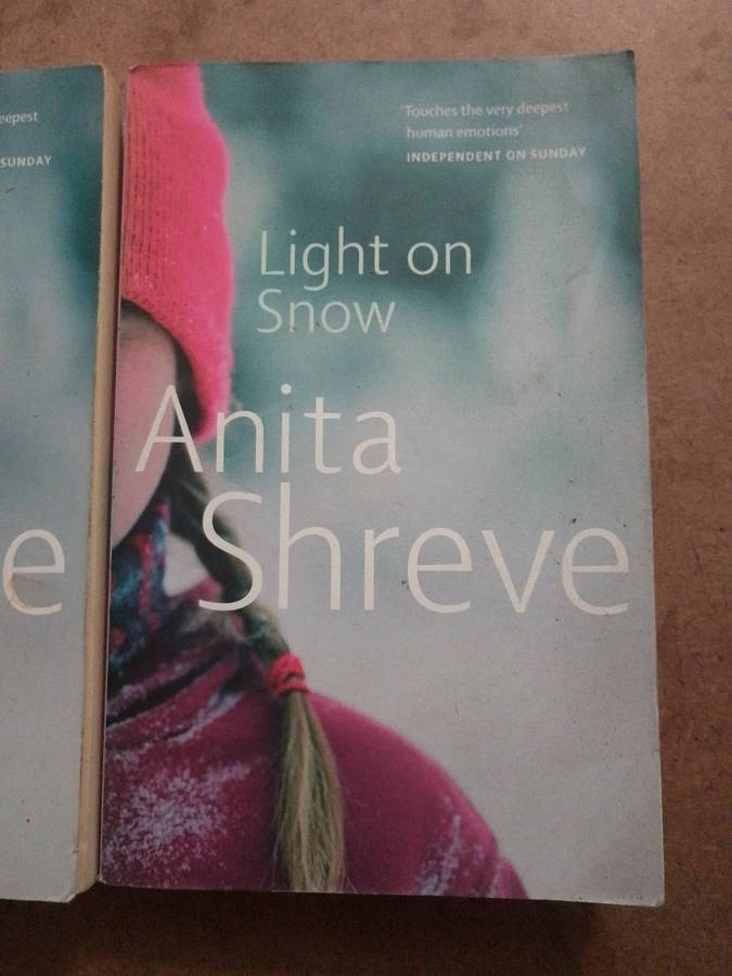 Anita Shreve - Light on Snow