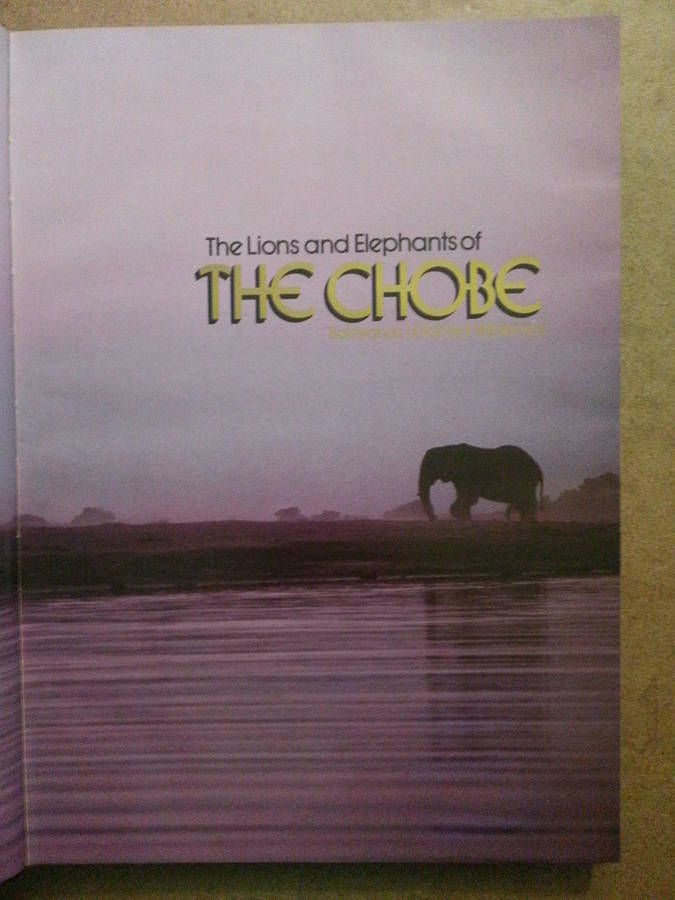 The Lions and Elephants of The Chobe - Botswana's untamed wilderness