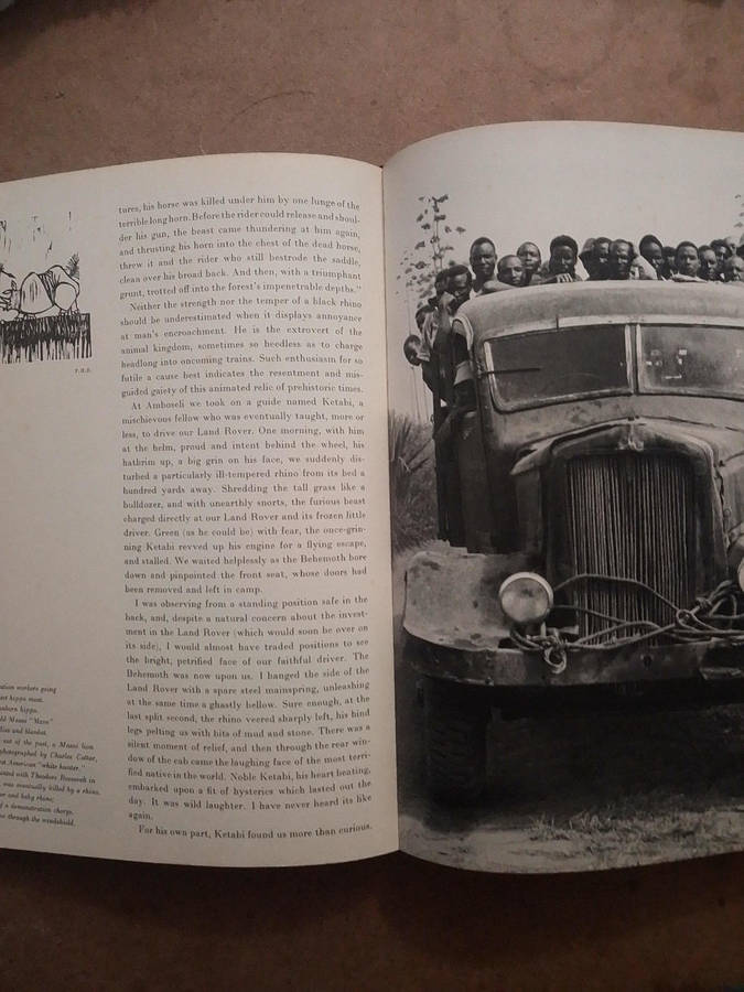 The End of the Game - Peter Beard