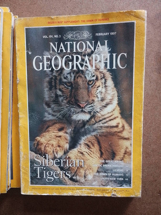National Geographic Magazines - various years