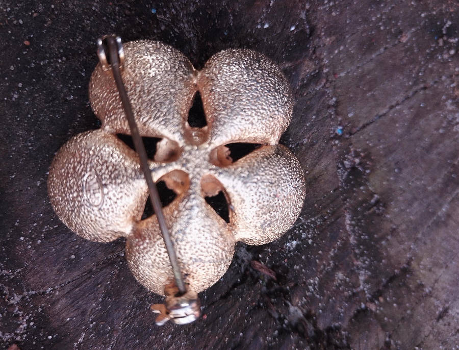 Vintage Brooch - Sphinx - flower