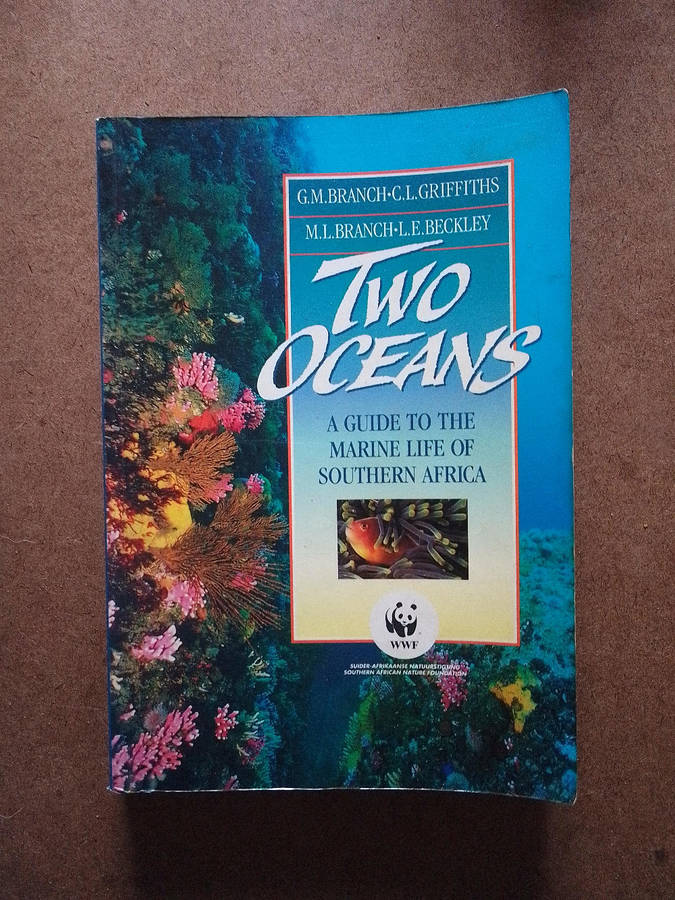 Two Oceans - a guide to the Marine Life of Southern Africa