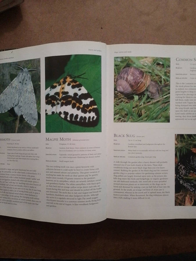 The Natural History of the British Isles