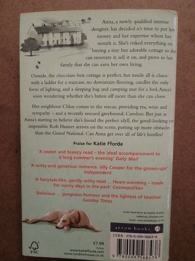 Katie Fforde - Practically Perfect