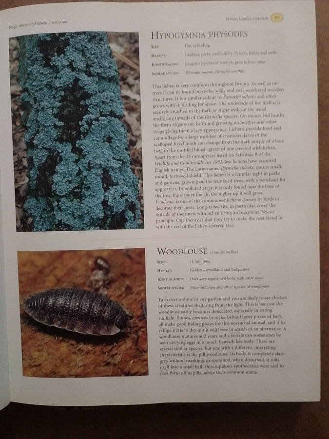 The Natural History of the British Isles