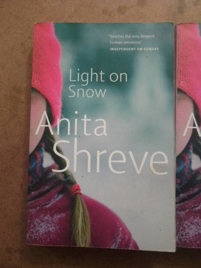 Anita Shreve - Light on Snow