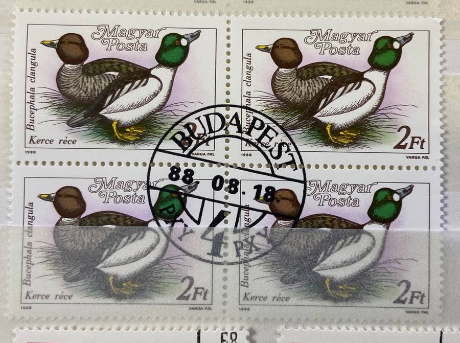 Birds - Selection of blocks, pairs, singles CTO - Hungary - Ducks Storks Cranes