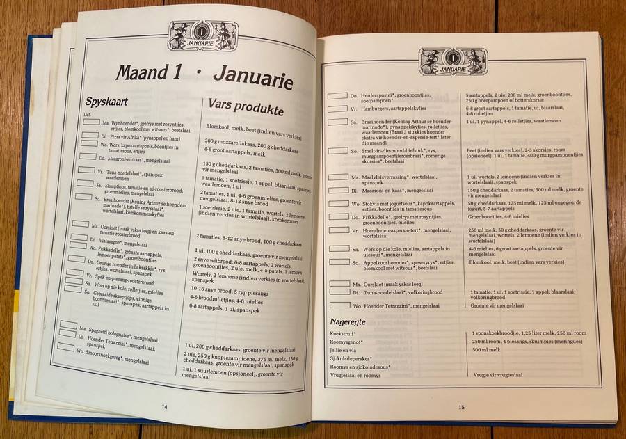 GESINSKOS - Christelle Erasmus en Eric Barnard - 'n Jaarplan-spaarplan - 1st Uitgawe 1993 - RESEPTE.