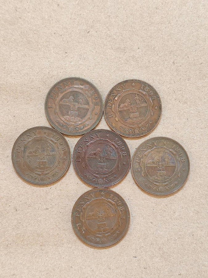 ZAR Mixed dates 1 PENNY COIN LOT
