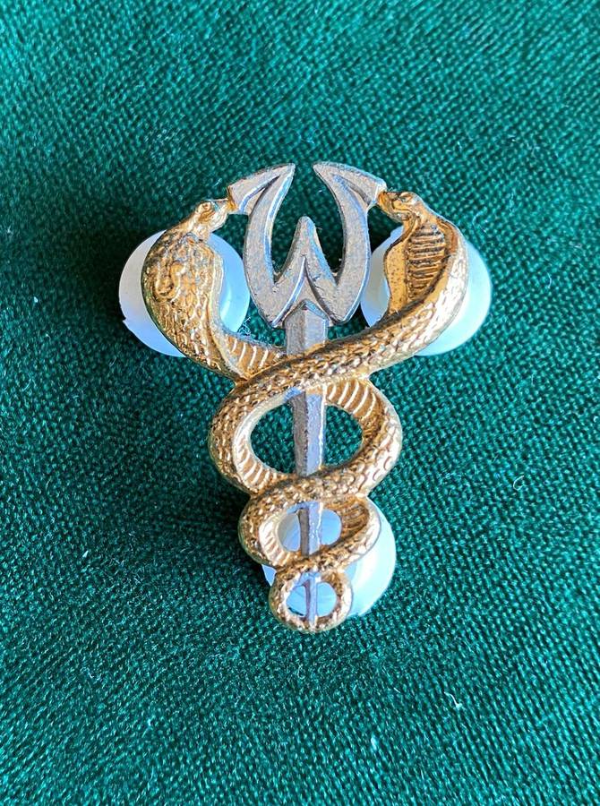 SA MEDICAL SERVICES BI-METAL BREAST BADGE-WORN BY WELFARE OFFICERS- 3 PINS