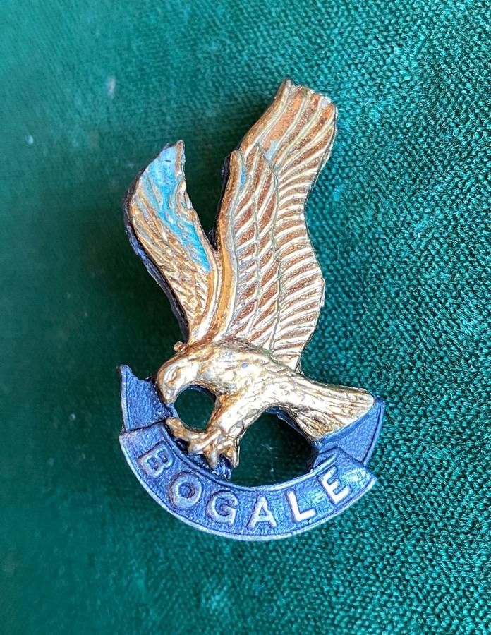 118 BATTALION BI-METAL CAP BADGE-APPROVED IN 1991-1X SCREW LUG