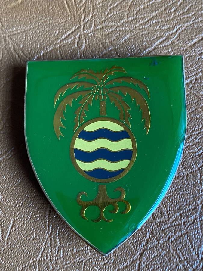 SWA GROOTFONTEIN COMMANDO FLASH-FULL SIZE-DARK GREEN VARIATION- 3 PINS