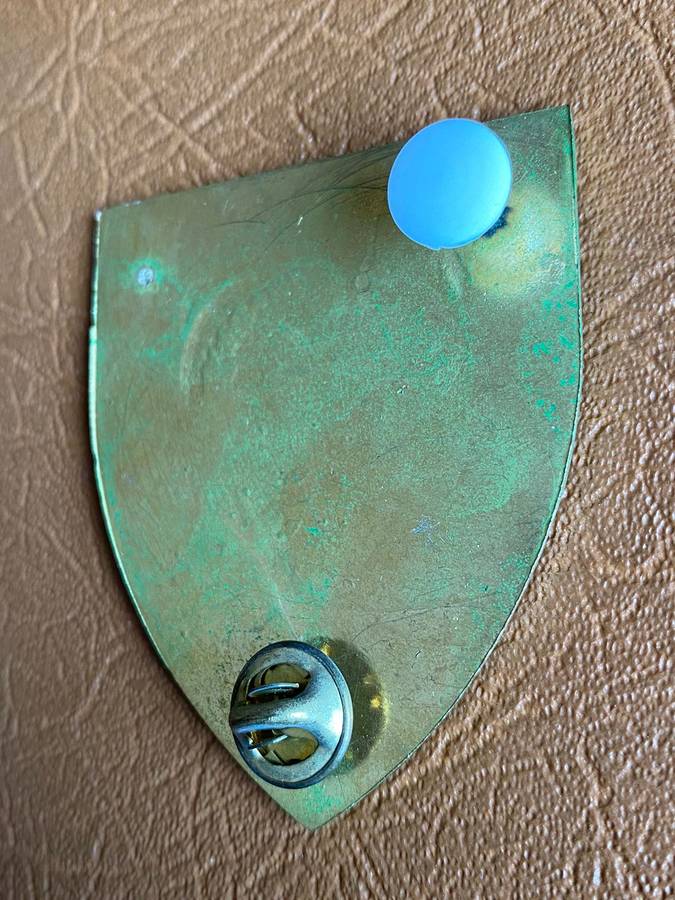 SWA GROOTFONTEIN COMMANDO FLASH-FULL SIZE-LIGHT GREEN VARIATION- 2 PINS