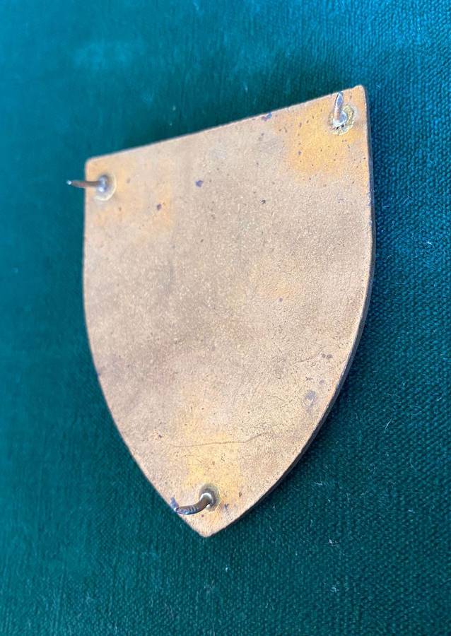 TRANSKEI DEFENCE FORCE FLASH-TYPE 1 ENAMEL- 3 PINS