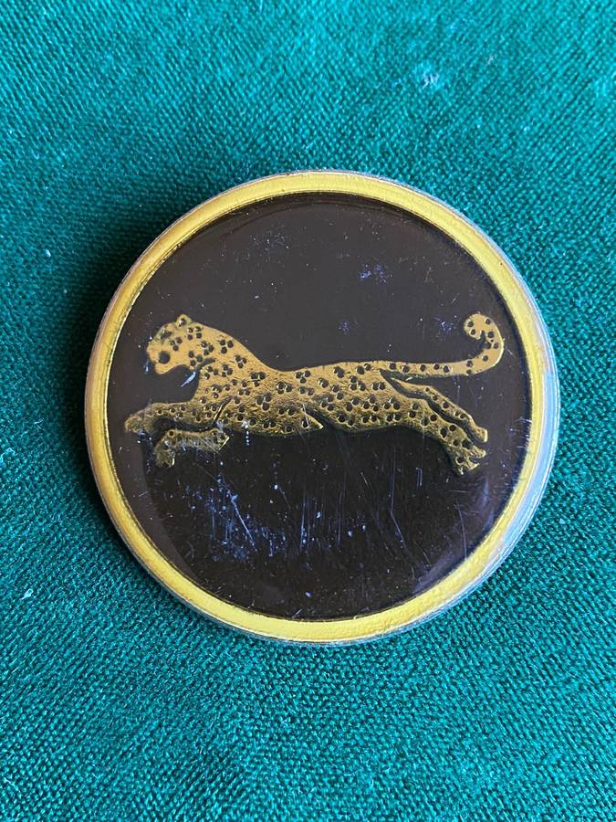 SWA 911 BATTALION BERET BADGE-ONE PIN