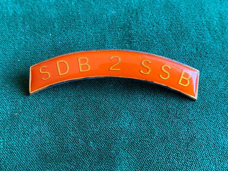2 SPECIAL SERVICE BATTALION METAL SHOULDER TITLE- 2 PINS