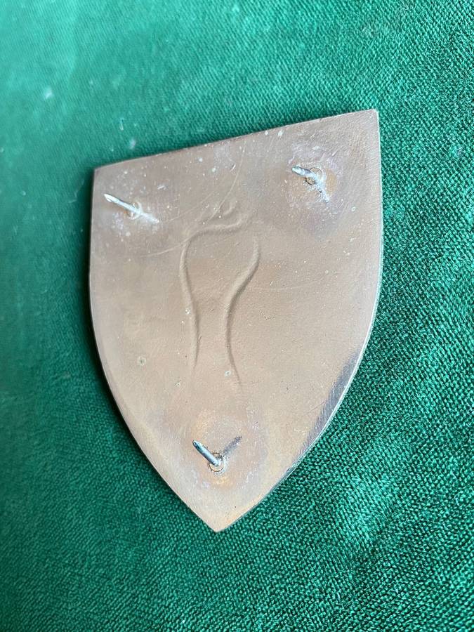 SWA SPECIALIST UNIT-FULL SIZE FLASH- 3 PINS