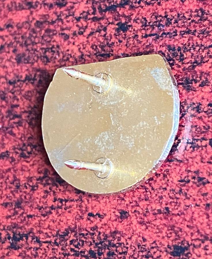 SWA SCHOOL CADETS BREAST BADGE-SCARCE