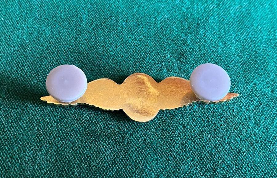 SAAF COMMANDO PILOT,MESS DRESS ,BREAST WING- 2 PINS