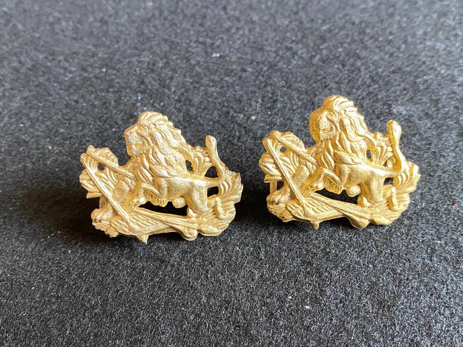 RHODESIA BSA ANODISED COLLAR BADGES-WORN 1970'S-1980-LUGS INTACT