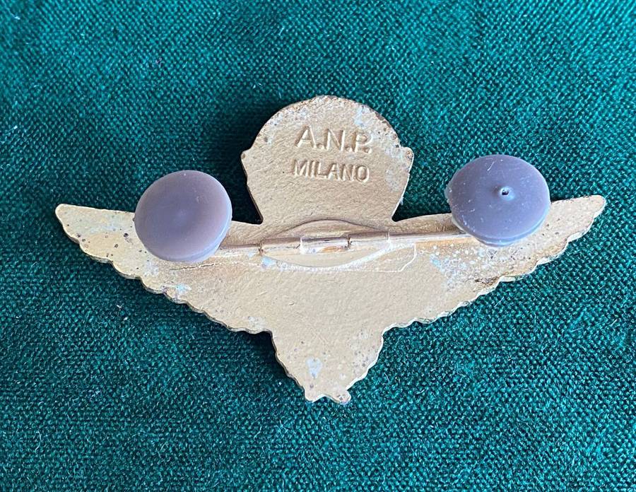 ALGERIAN INSTRUCTORS PARA BADGE- 2 PINS