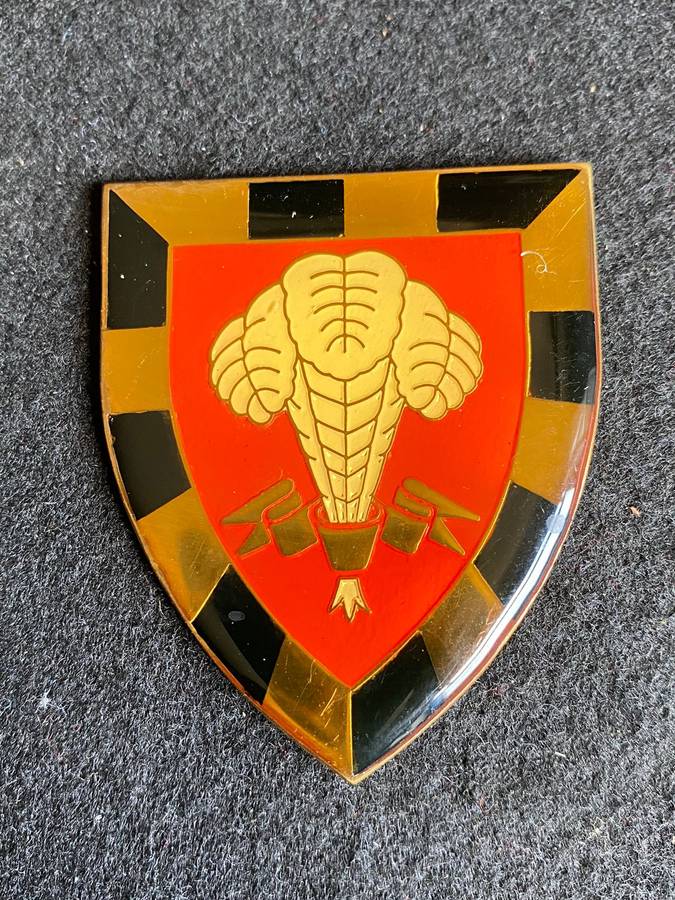 1ST SA INF. BATTALION FLASH- NO PINS