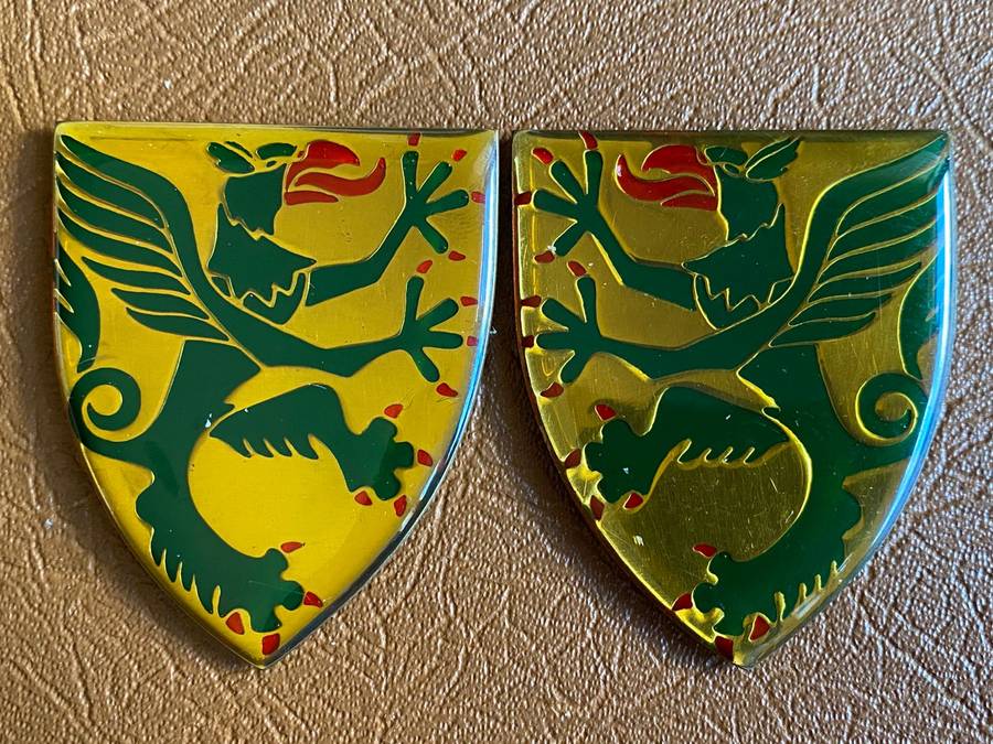 REGT. LANGENHOVEN FLASH PAIR- NO PINS