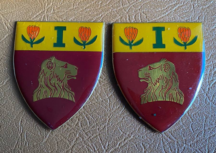 1 REGT. DE LA REY FLASH PAIR- NO PINS