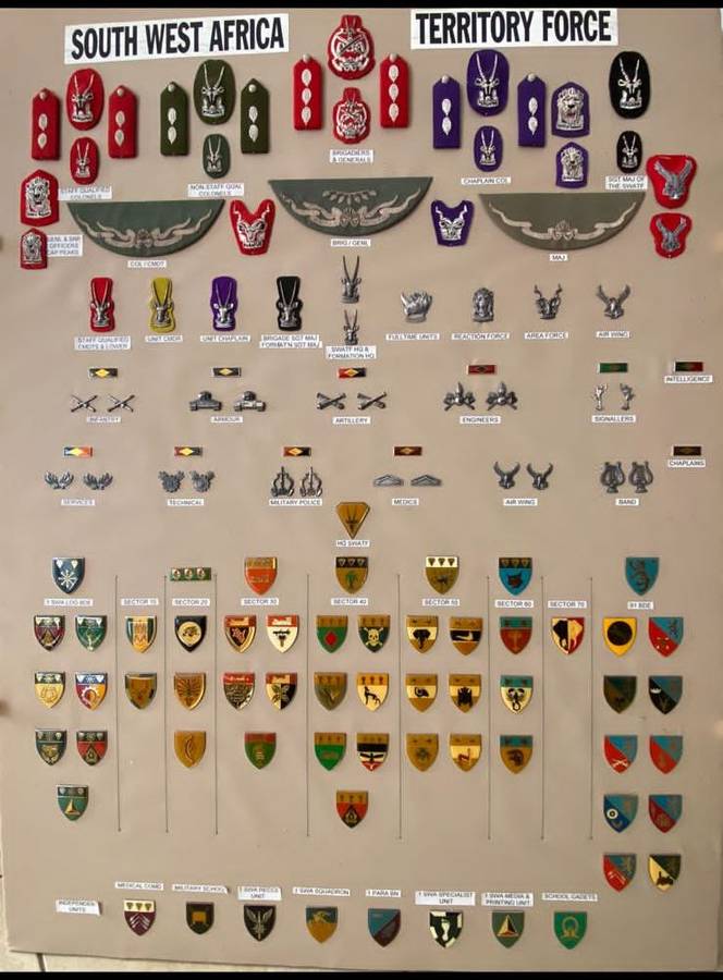 1 SWA SQUADRON (AIR FORCE) SENIOR OFFICERS CAP BADGE