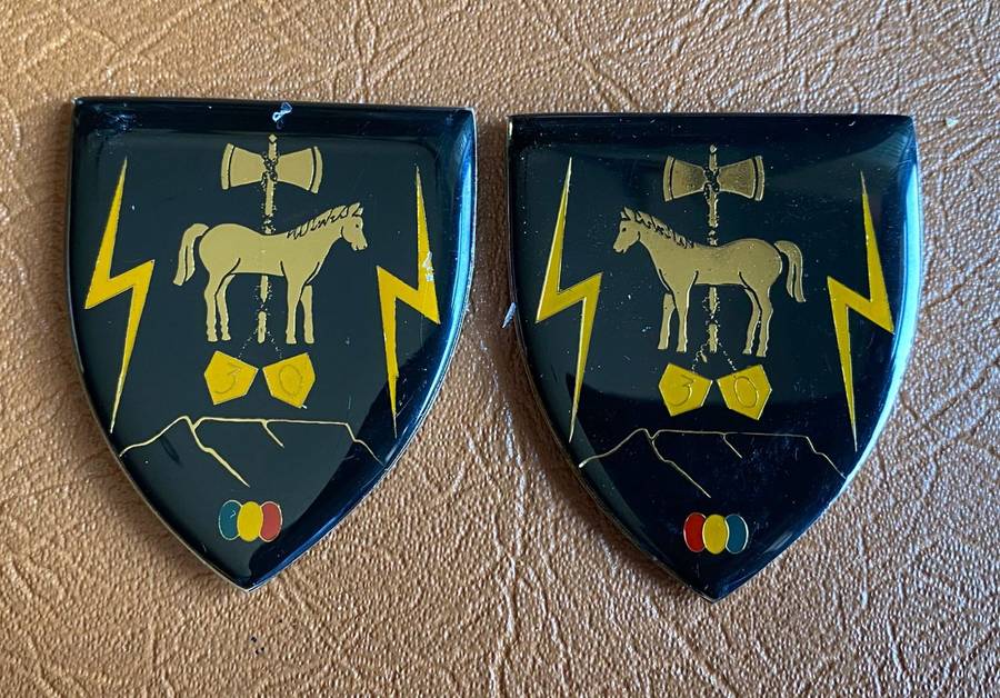 30 FIELD WORKSHOP FLASH PAIR- NO PINS