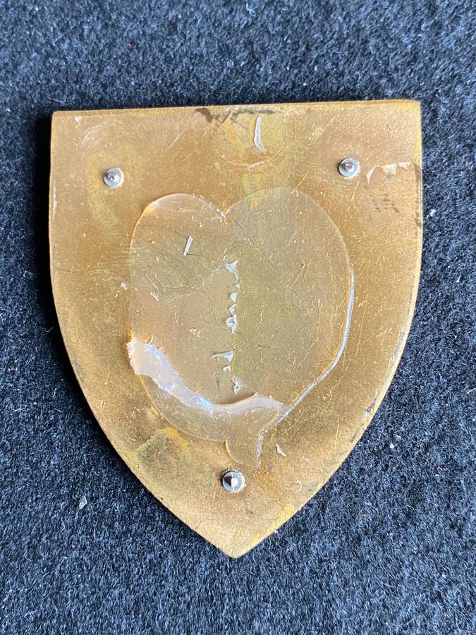 3 ELECTRONIC WORKSHOP-WHITE IN THE MIDDLE TYPE FLASH-OWEN NO F 843- NO PINS- SCARCE