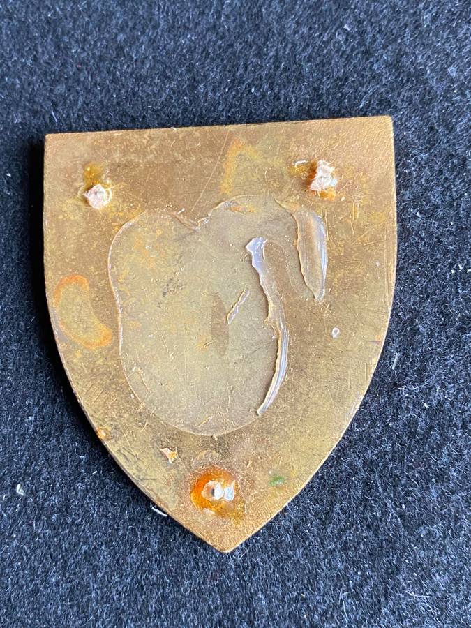 4 ELECTRONIC WORKSHOP-FLASH-NO PINS-GREEN BLUE VARIATION- NO F 844 IN OWEN