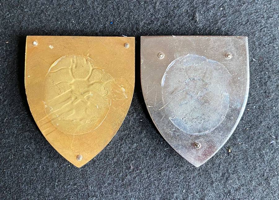 JOHANNESBURG EAST COMMANDO FLASH PAIR- NO PINS- TWO COLOUR VARIATIONS