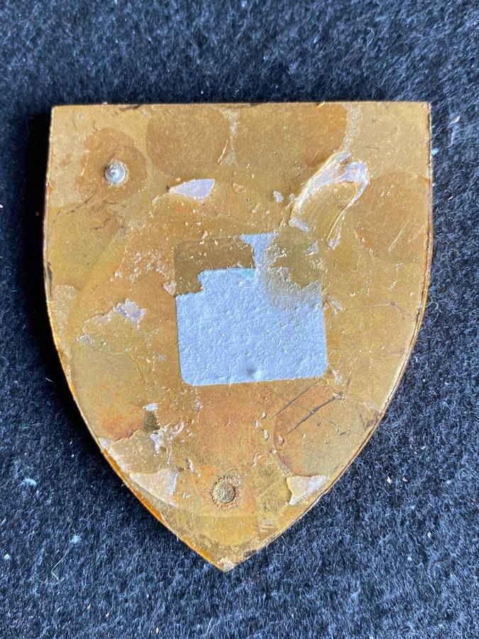 CHIEF OF THE SADF YELLOW TYPE FLASH- NO PINS-OWEN NO F 474