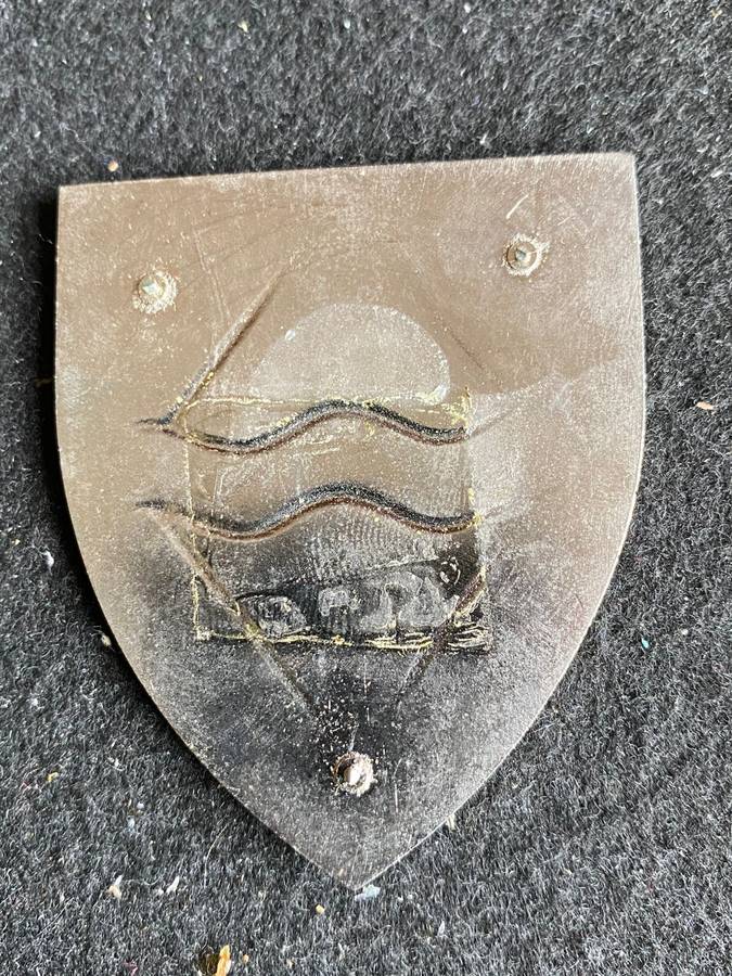 REGT. ORANJE RIVIER,FLASH- NO PINS