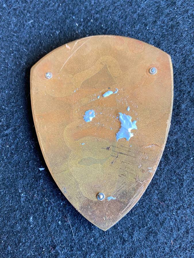 MILITARY MEDICAL INSTITUTE FLASH- NO PINS