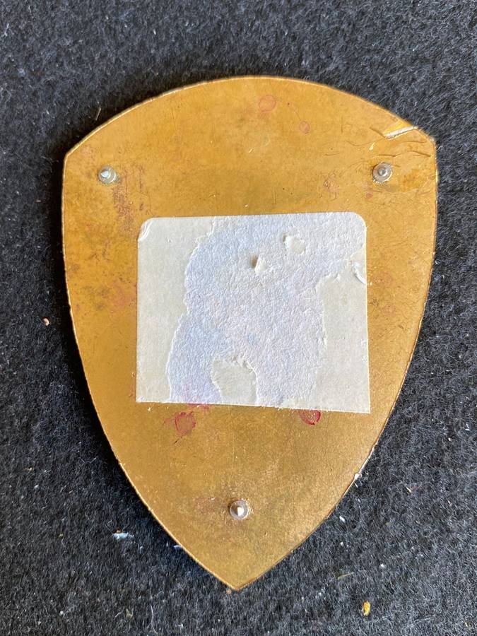 1 FIELD AMBULANCE FLASH- NO PINS
