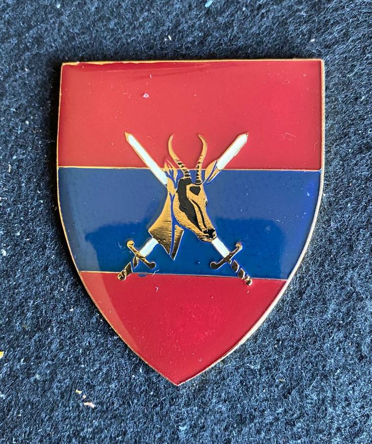 SA DIRECTOR GENERAL (ENGINEERS) RED TYPE-1ST ISSUE FLASH- NO PINS-OWEN NO F 247